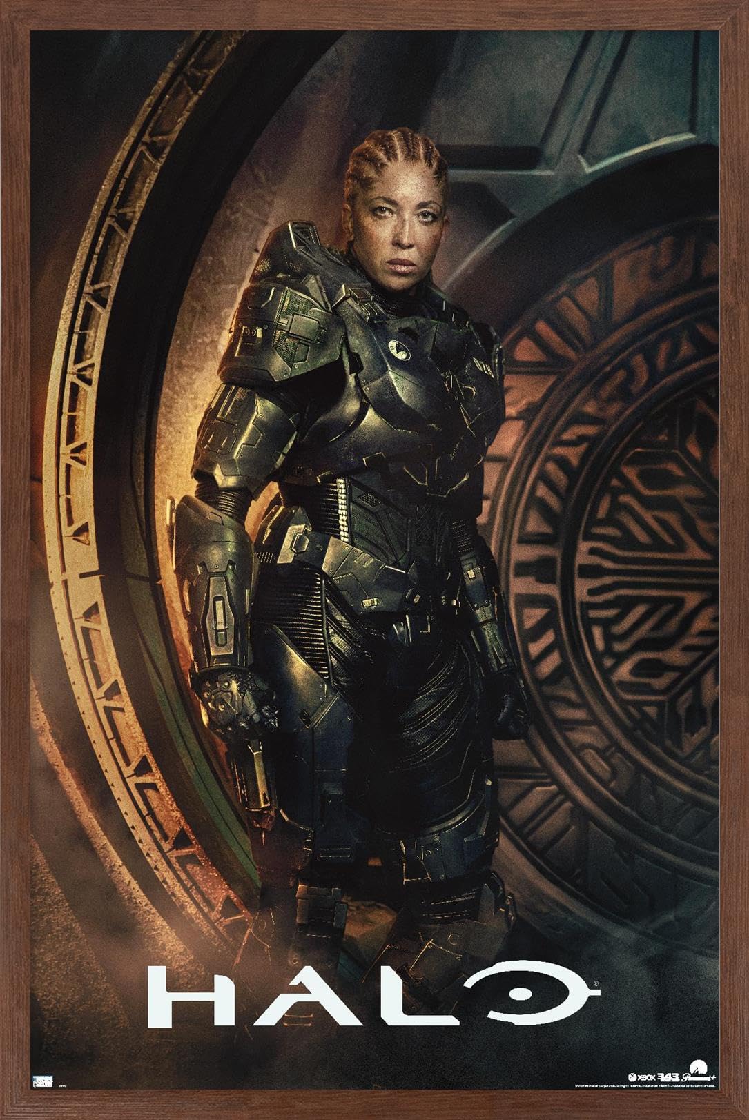 Amazon.co.jp: Trends International Halo: Season 2 - Riz One Sheet
